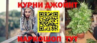 PSILOCYBIN Бийск